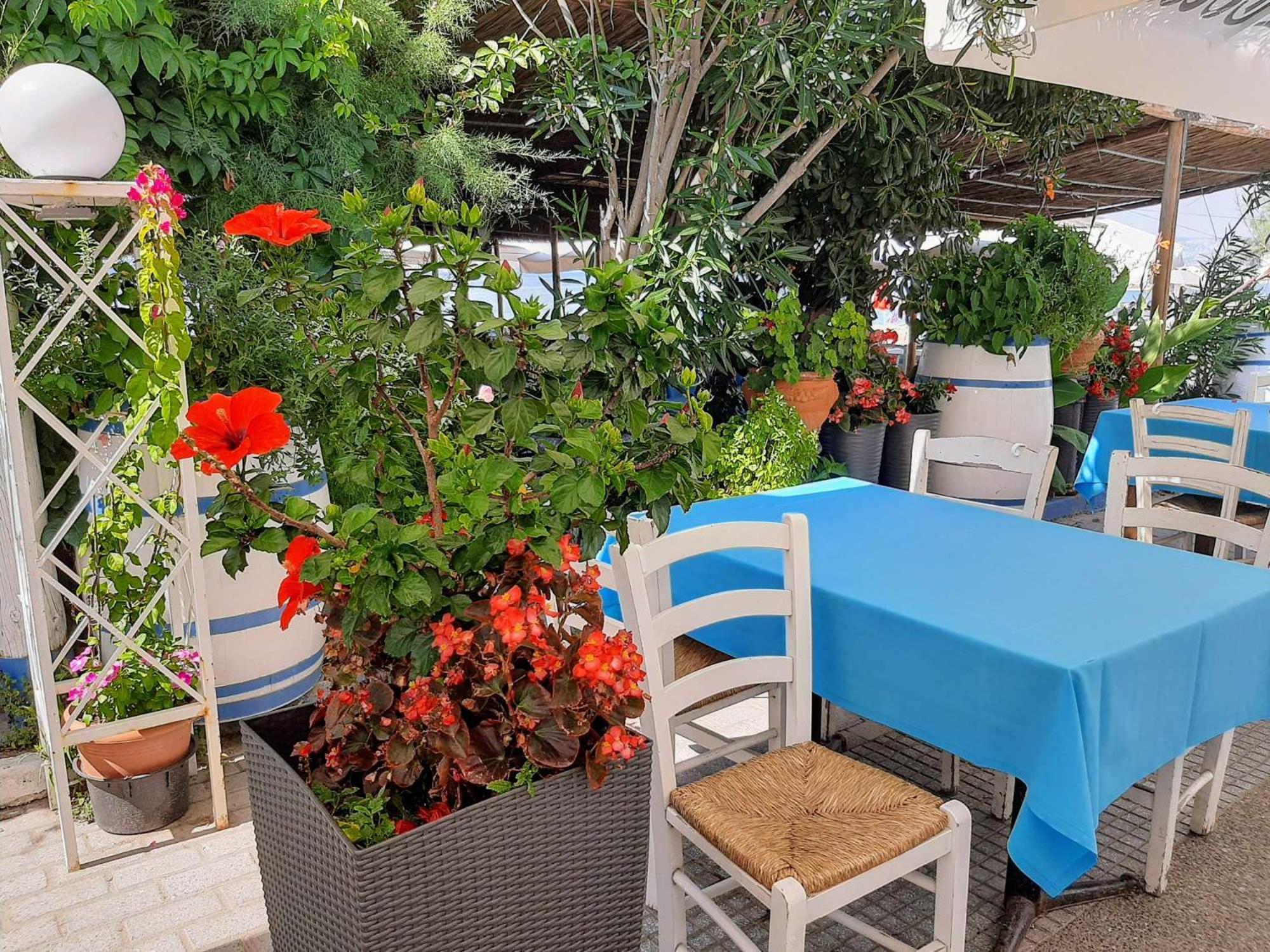 Elaia Luxury * Peraia (Thessaloniki)